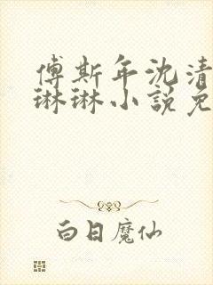 傅斯年沈清欢谢琳琳小说免费阅读