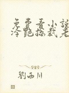 免费看小说我的冷艳总裁老婆封面