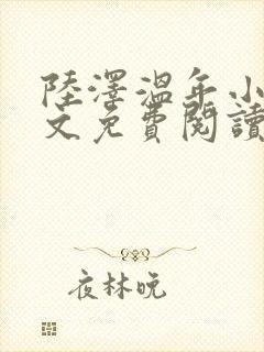 陆泽温年小说全文免费阅读