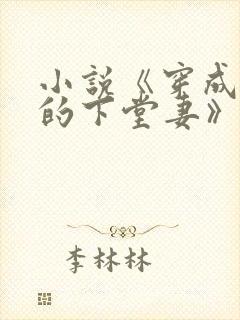 小说《穿成首辅的下堂妻》