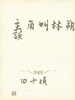 主角叫林朔的小说