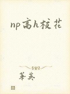 np高h校花