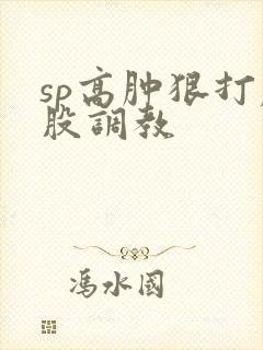 sp高肿狠打屁股调教