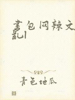 书包网辣文高h乱l