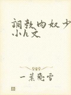 调教肉奴少司缘小h文