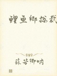 鲤鱼乡总裁双性封面