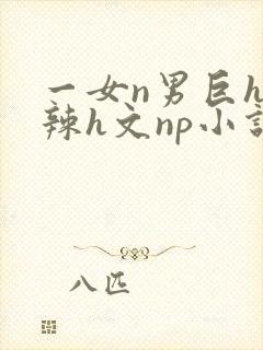 一女n男巨h高辣h文np小说