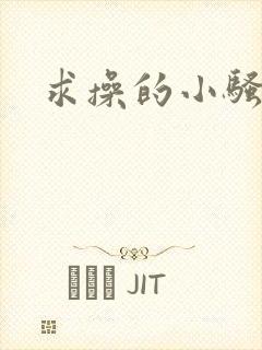 求操的小骚货