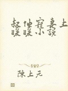 叔他宠妻上瘾古暖暖小说