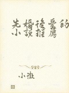 先婚后爱的现言小说推荐封面