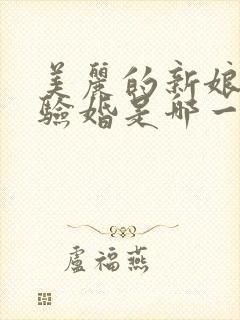 美丽的新娘阿龟验婚是哪一集