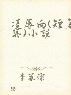 凌辱向(短篇合集)小说封面