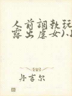 人前调教玩弄(露出虐女)小说