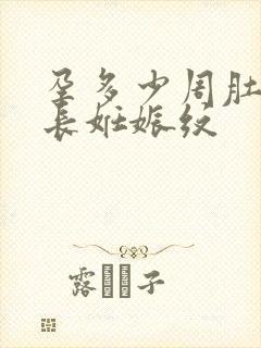 孕多少周肚子会长妊娠纹