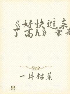 《好快进来啊湿了高h》笔趣阁男男