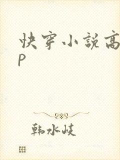 快穿小说高hnp