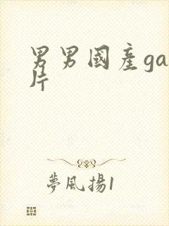 男男国产gay片封面