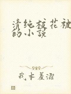 清纯校花被调教的小说