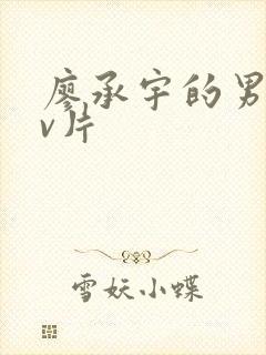 廖承宇的男男gv片