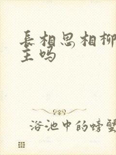 长相思相柳是男主吗