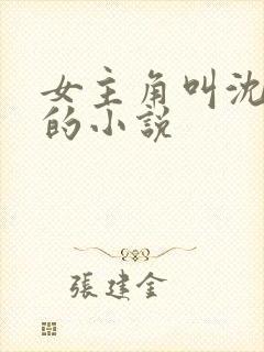 女主角叫沈知意的小说封面