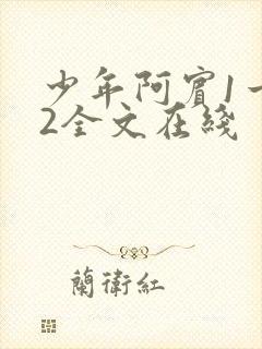 少年阿宾1一72全文在线