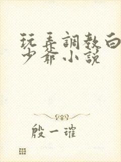 玩弄调教白嫩小少爷小说封面