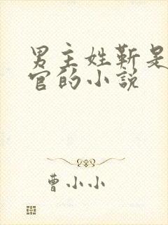 男主姓靳是检察官的小说