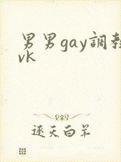 男男gay调教vk