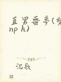 直男噩梦(双性np h)