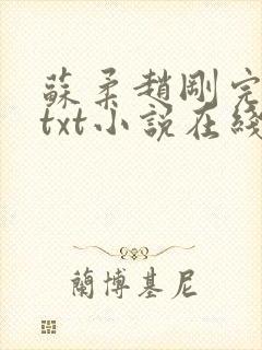 苏柔赵刚完整版txt小说在线阅读封面