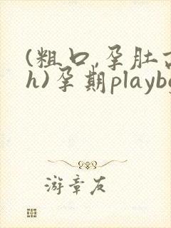 (粗口,孕肚高h)孕期playbg