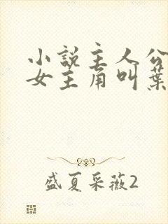 小说主人公林凡女主角叫叶惜