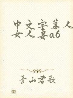 中文字幕人妻熟女人妻a6封面