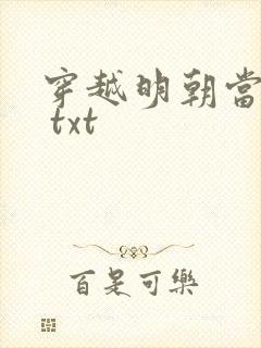 穿越明朝当皇帝 txt封面