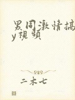 男同激情搞gay视频