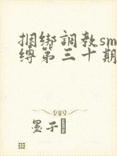 捆绑调教sm束缚第三十期