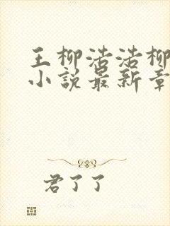 王柳浩浩柳如烟小说最新章节更新时封面