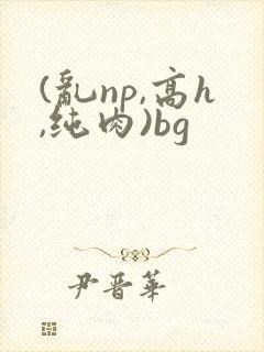 (乱np,高h,纯肉)bg