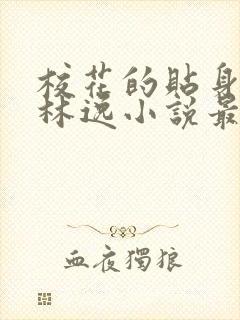 校花的贴身高手林逸小说最新章节在线封面