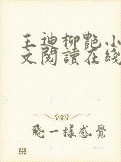 王迪柳艳小说全文阅读在线