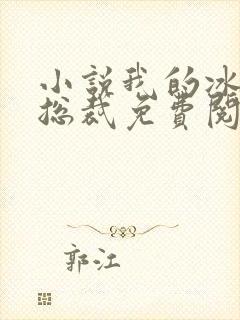 小说我的冰山女总裁免费阅读