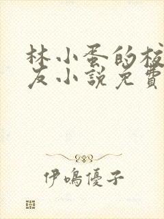 林小蛋的校花女友小说免费阅读封面