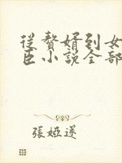 从赘婿到女帝宠臣小说全部章节封面