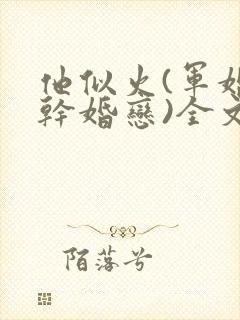 他似火(军婚高干婚恋)全文笔趣阁