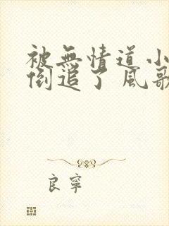 被无情道小师弟倒追了 风歌且行 小说