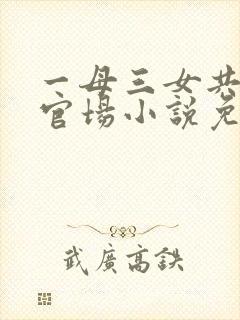 一母三女共一婿官场小说免费阅读
