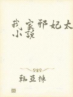 我家邪妃太嚣张小说封面