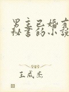 男主已婚有外遇秘书的小说推荐