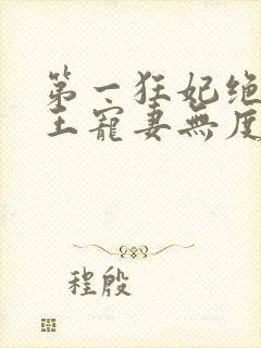 第一狂妃绝色邪王宠妻无度